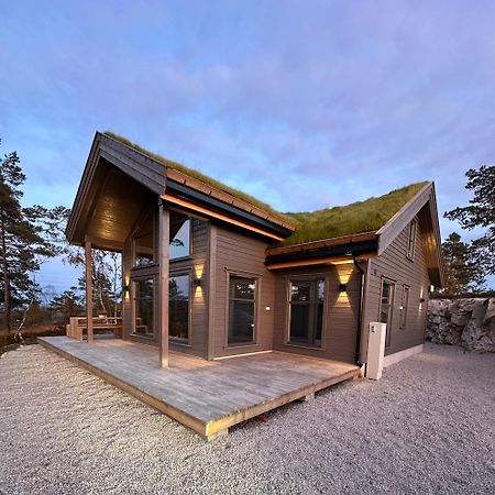 Modern Northern Lights Cabin Drangedal Exterior foto