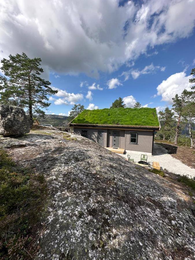 Modern Northern Lights Cabin Drangedal Exterior foto